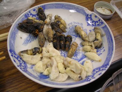 zairyou